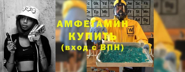 стафф Касимов