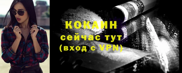 стафф Касимов