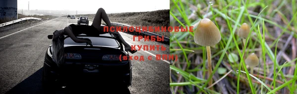 экстази Карпинск