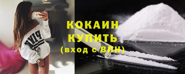 стафф Касимов