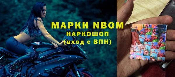 стафф Касимов