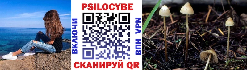 купить наркотик  Ирбит  ссылка на мегу рабочий сайт  Псилоцибиновые грибы мухоморы 